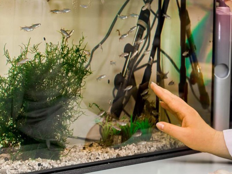 Toxikologie-Hygiene Institut NRW